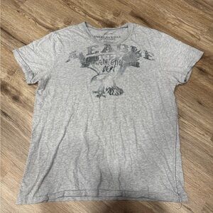 Y2K American Eagle Outfitters Light Gray Graphic Short-Sleeve Tee